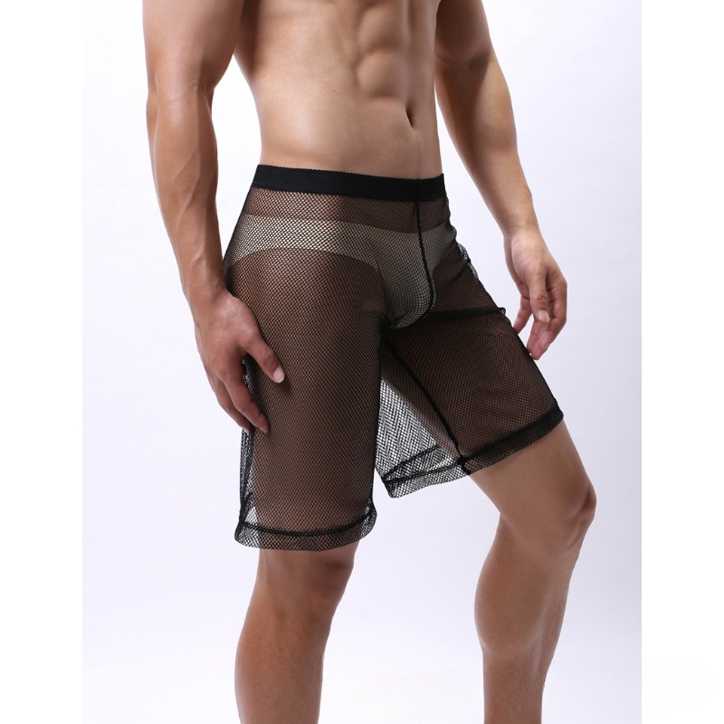 Low Rise Mesh Erotic Underwear - Pouch Boxer Pouch recension och pris