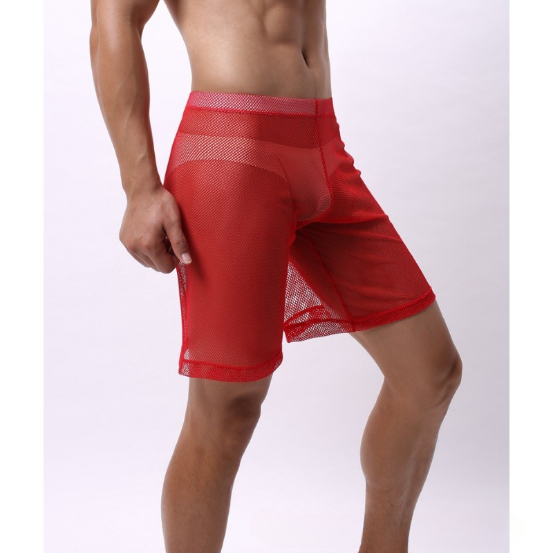 Low Rise Mesh Erotic Underwear - Pouch Boxer Pouch recension och pris